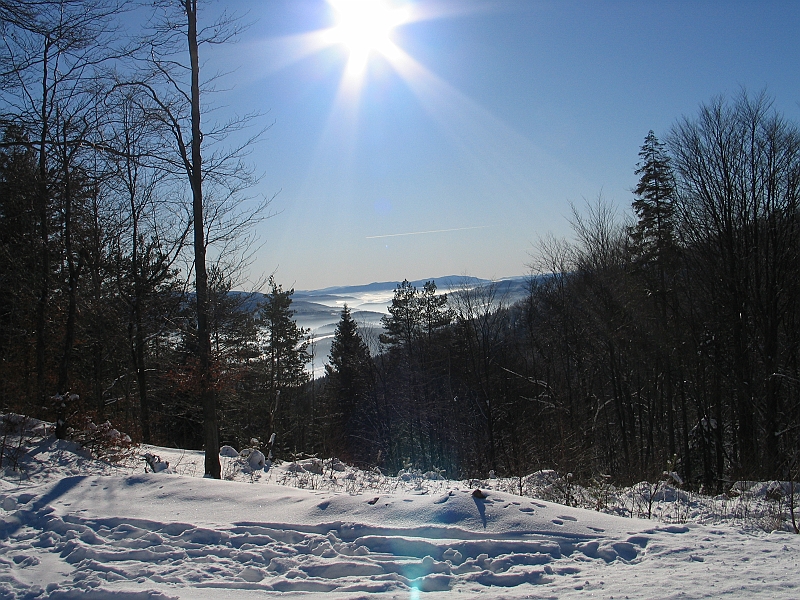 Krynica 2008 021